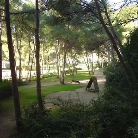 Apartment Jardin Azur